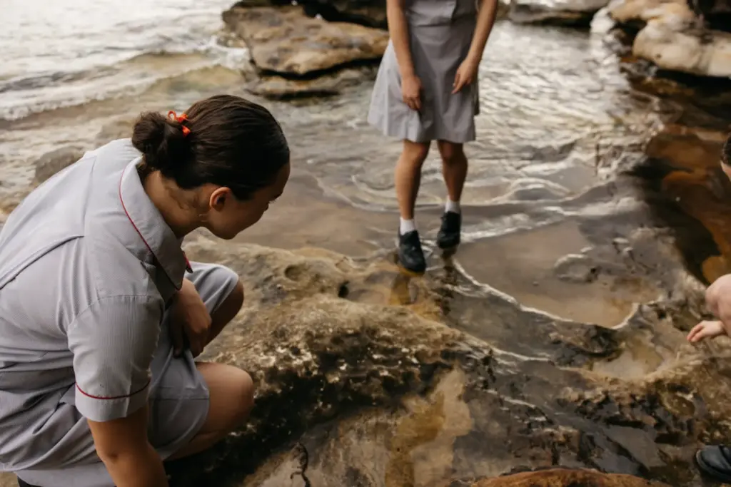 Students looking into rockpools